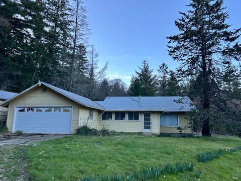 Photo of 28201 Sherwood Road, Willits, CA 95490 (MLS # 326019392)