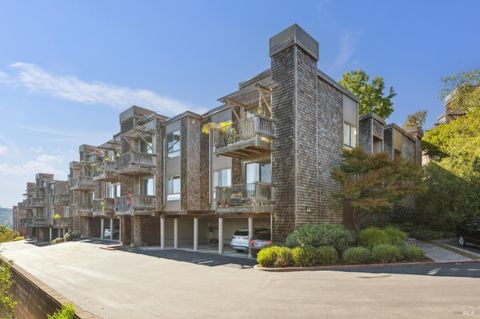 Photo of 561 Seaver Drive, Mill Valley, CA 94941 (MLS # 326007984)