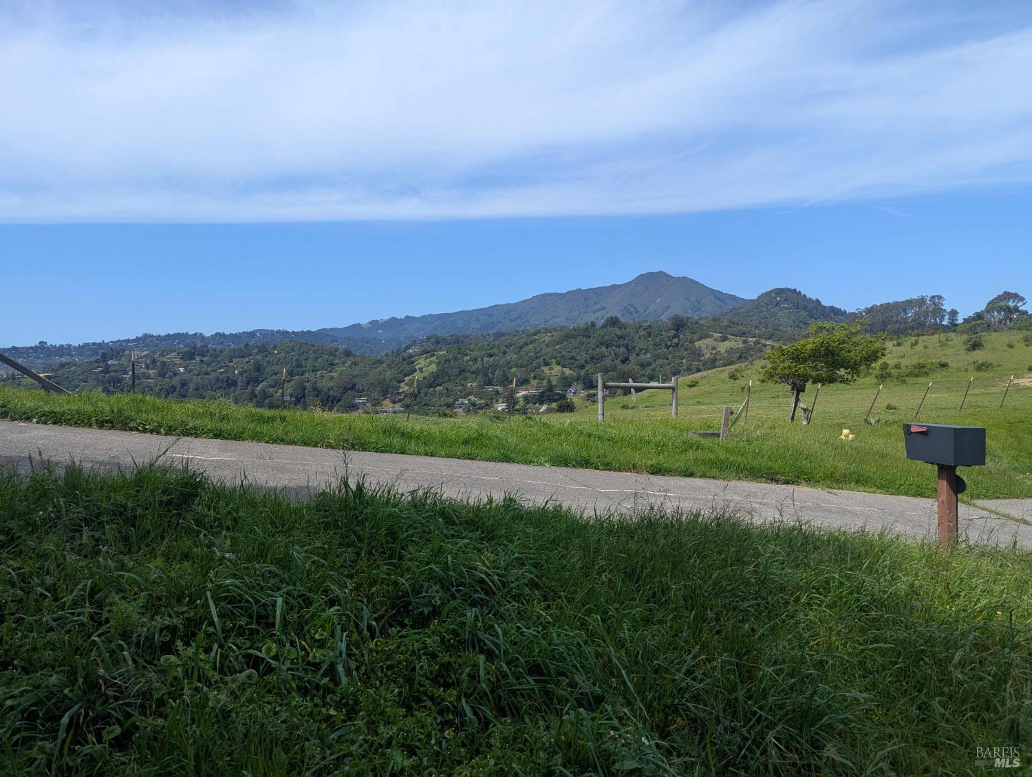 1163 Meadowsweet Drive