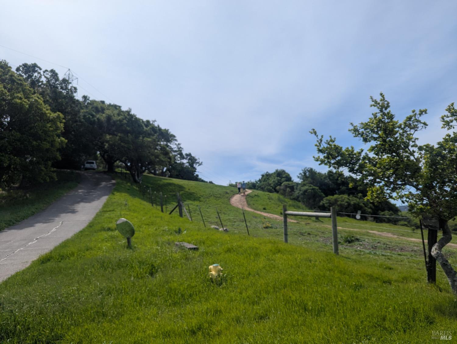 1163 Meadowsweet Drive