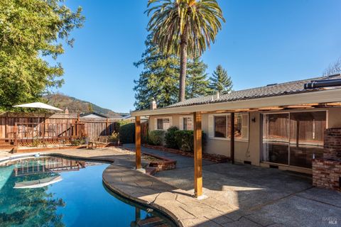 Photo of 45 Buena Vista, Novato, CA 94947 (MLS # 326005221)