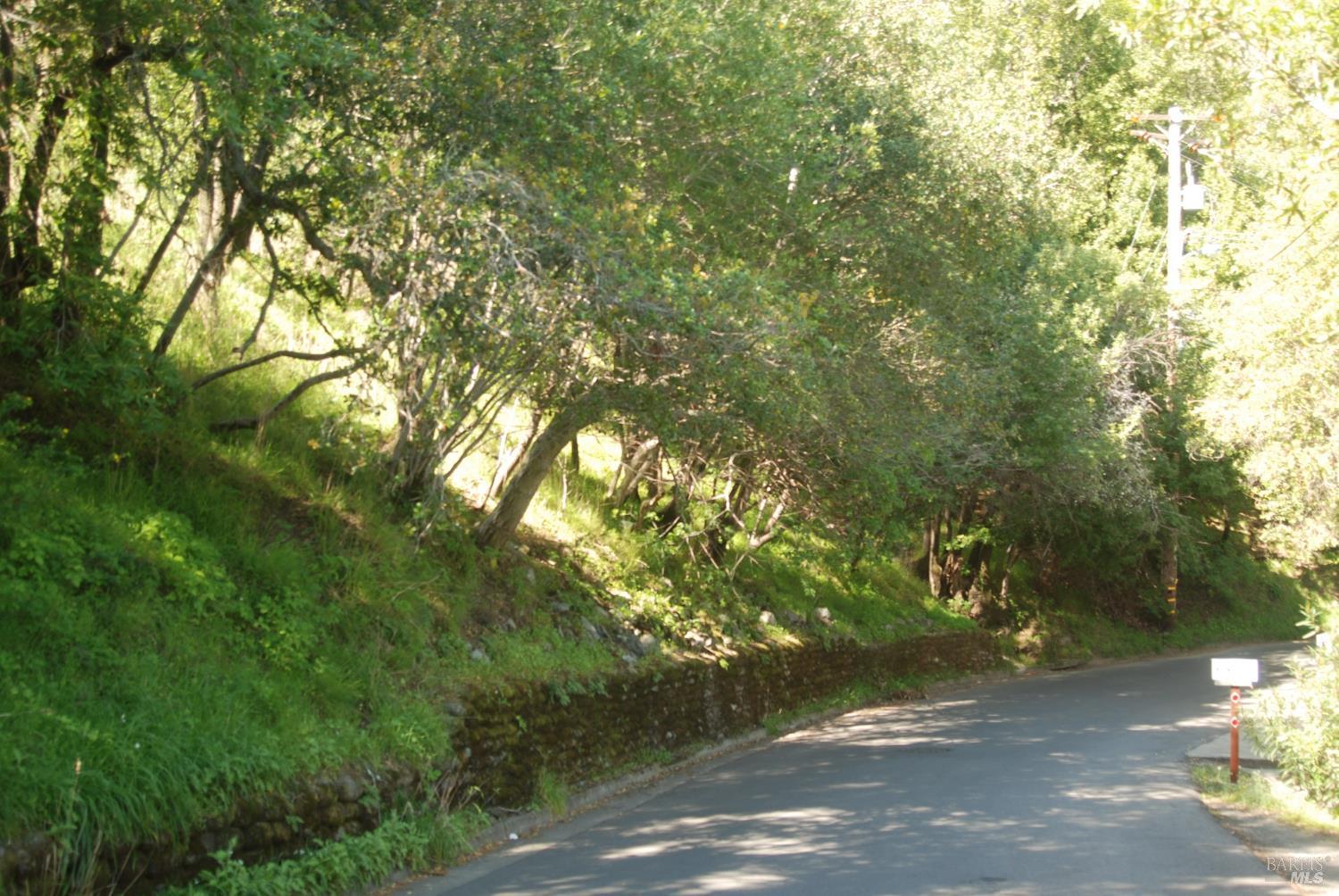 Fair Drive