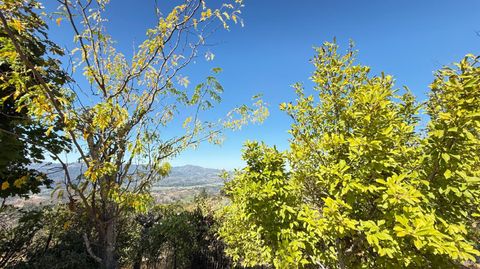 Photo of 920 Crestmont Drive, Angwin, CA 94508 (MLS # 325083265)