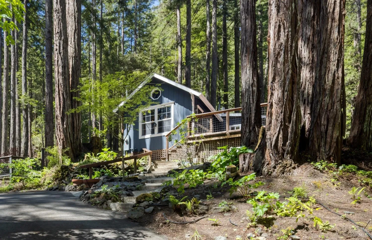 Guerneville, California 95446, United States, 2 Bedrooms Bedrooms, ,1 BathroomBathrooms,Residential,Active,122451