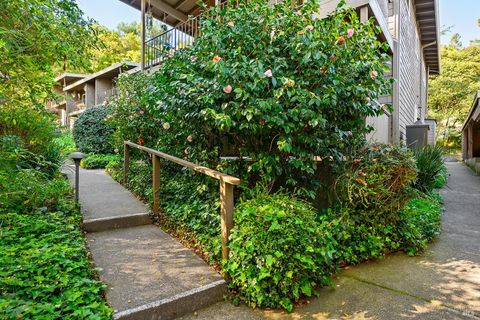 Photo of 1411 Casa Buena Drive #31, Corte Madera, CA 94925 (MLS # 326022259)