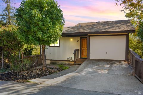 Photo of 171 Glen Park Avenue, San Rafael, CA 94901 (MLS # 325094115)