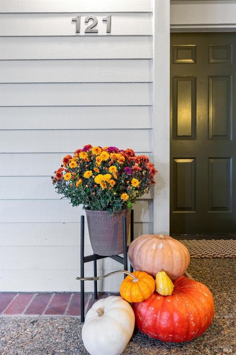 Photo of 121 Eucalyptus Knoll Street, Mill Valley, CA 94941 (MLS # 325089049)