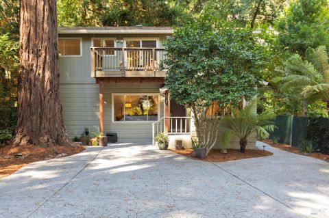 Photo of 246 Madrone Avenue, Larkspur, CA 94939 (MLS # 325079161)