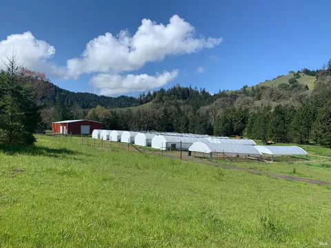 MLS: 325041151