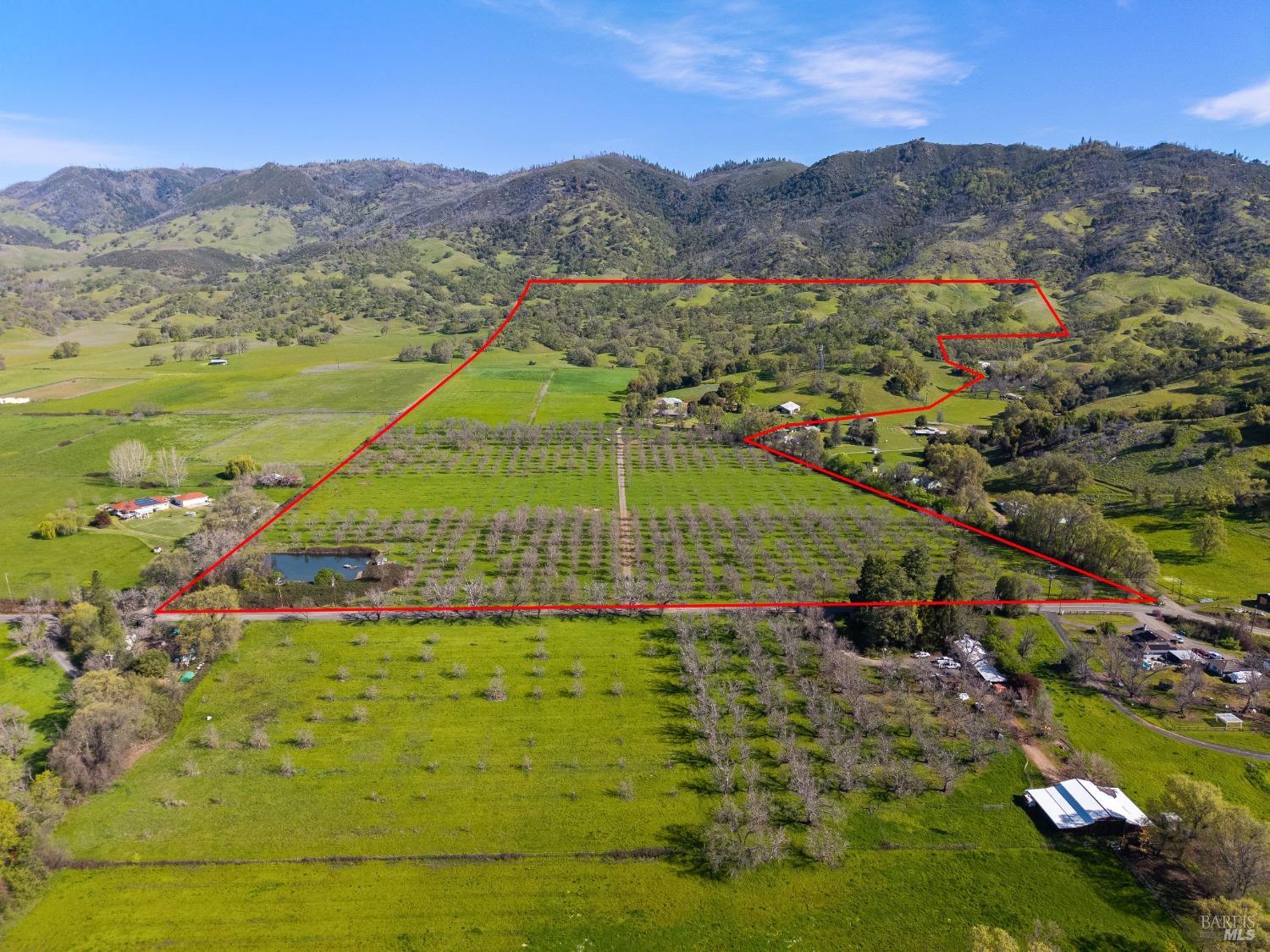 Listing image 1