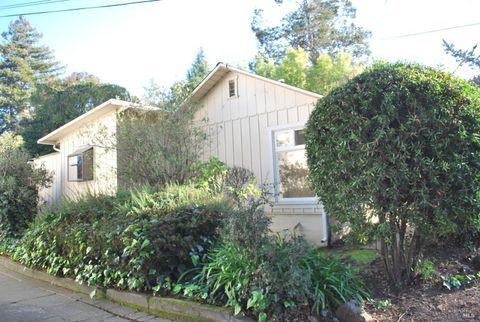 Photo of 1309 D Street Extension Street, Petaluma, CA 94952 (MLS # 326009649)
