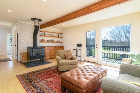 Photo of 44120 Biaggi Road, Manchester, CA 95459 (MLS # 326005911)