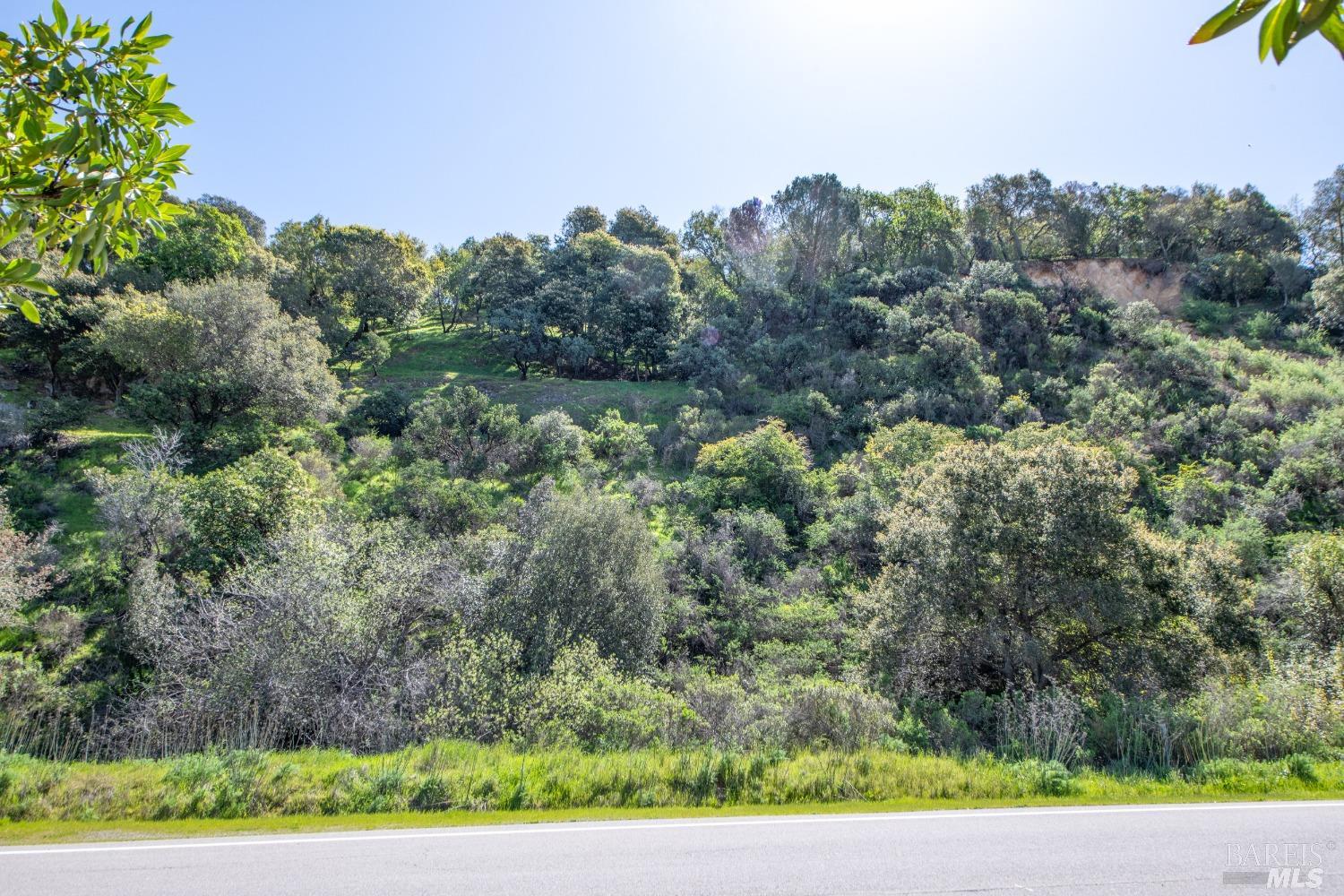 110 Sunny Oaks Drive