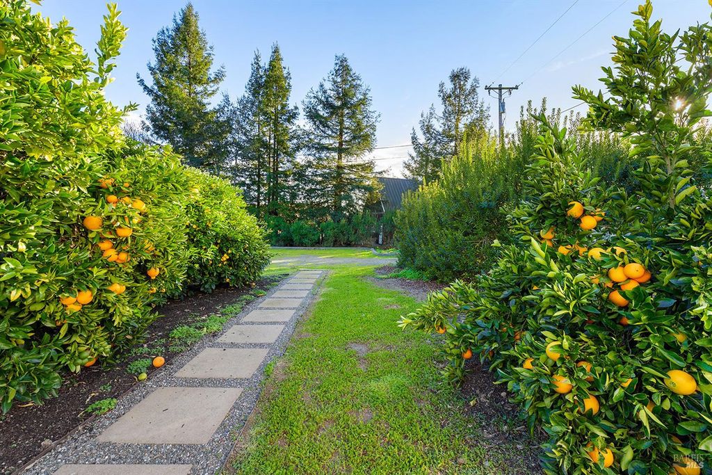 listing image 81