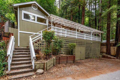 Photo of 15300 Canyon 3 Road, Rio Nido, CA 95471 (MLS # 326010141)