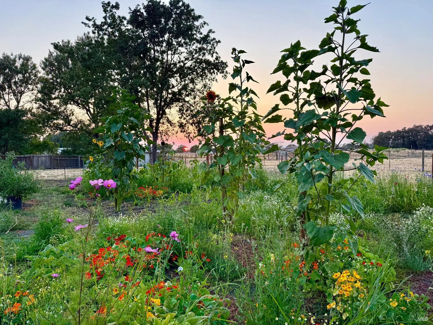 Santa Rosa, California 95407, United States, 3 Bedrooms Bedrooms, ,2 BathroomsBathrooms,Residential,Active,174550