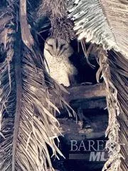 Santa Rosa, California 95407, United States, 3 Bedrooms Bedrooms, ,2 BathroomsBathrooms,Residential,Active,174550