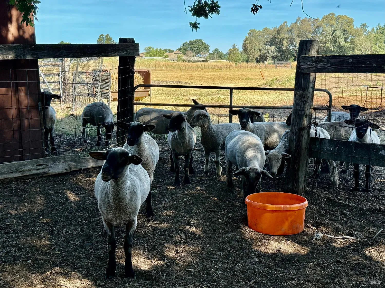 Santa Rosa, California 95407, United States, 3 Bedrooms Bedrooms, ,2 BathroomsBathrooms,Residential,Active,174550