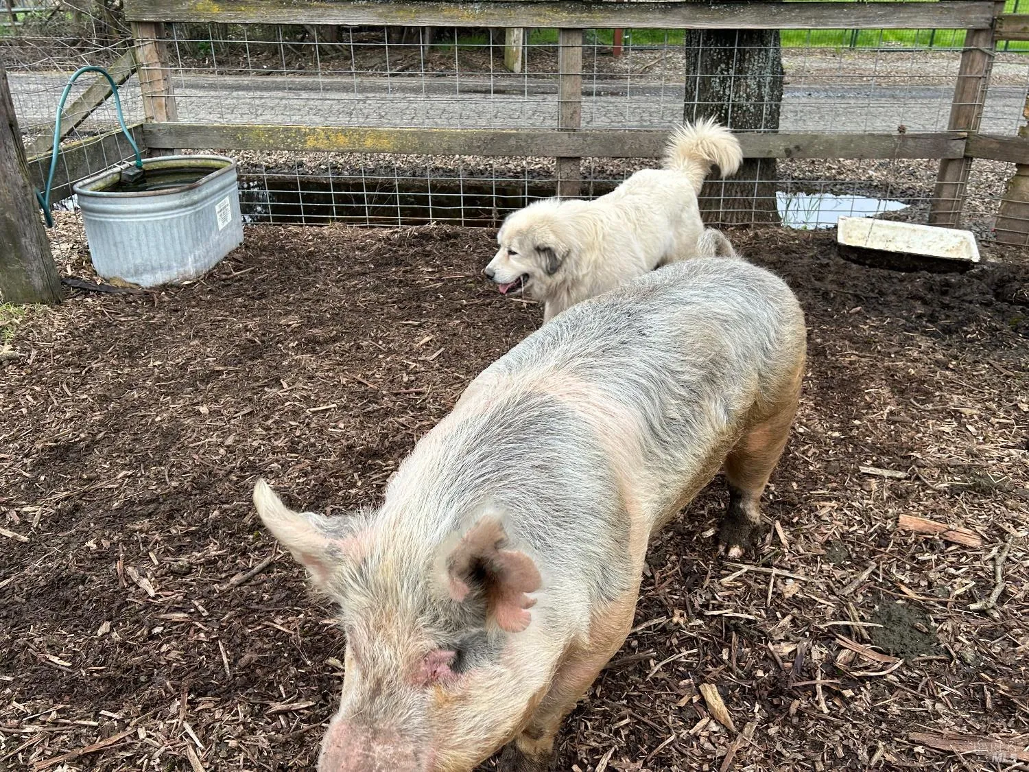 Santa Rosa, California 95407, United States, 3 Bedrooms Bedrooms, ,2 BathroomsBathrooms,Residential,Active,174550