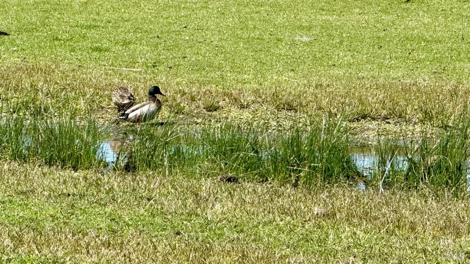 Santa Rosa, California 95407, United States, 3 Bedrooms Bedrooms, ,2 BathroomsBathrooms,Residential,Active,174550