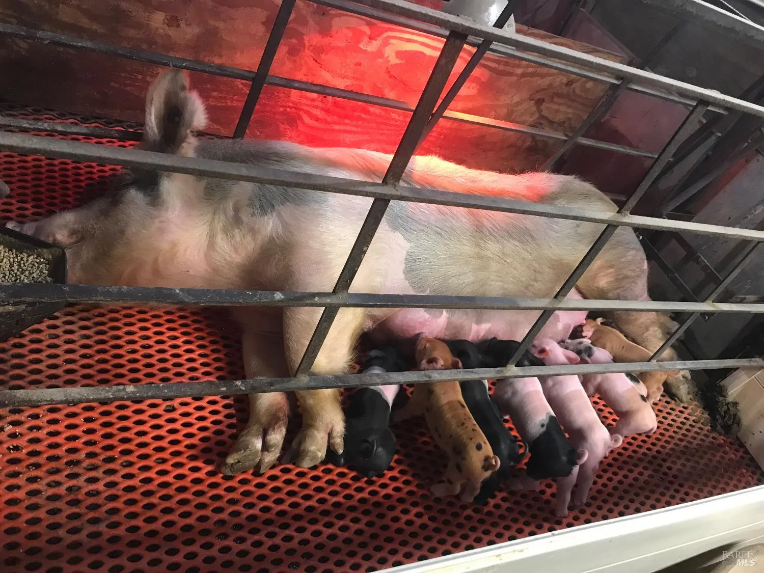 Santa Rosa, California 95407, United States, 3 Bedrooms Bedrooms, ,2 BathroomsBathrooms,Residential,Active,174550