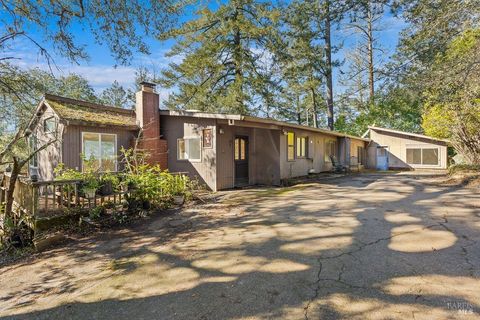 Photo of 10650 Woodside Drive, Forestville, CA 95436 (MLS # 326000016)