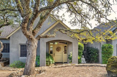 Photo of 17219 7th Street E, Sonoma, CA 95476 (MLS # 325092238)