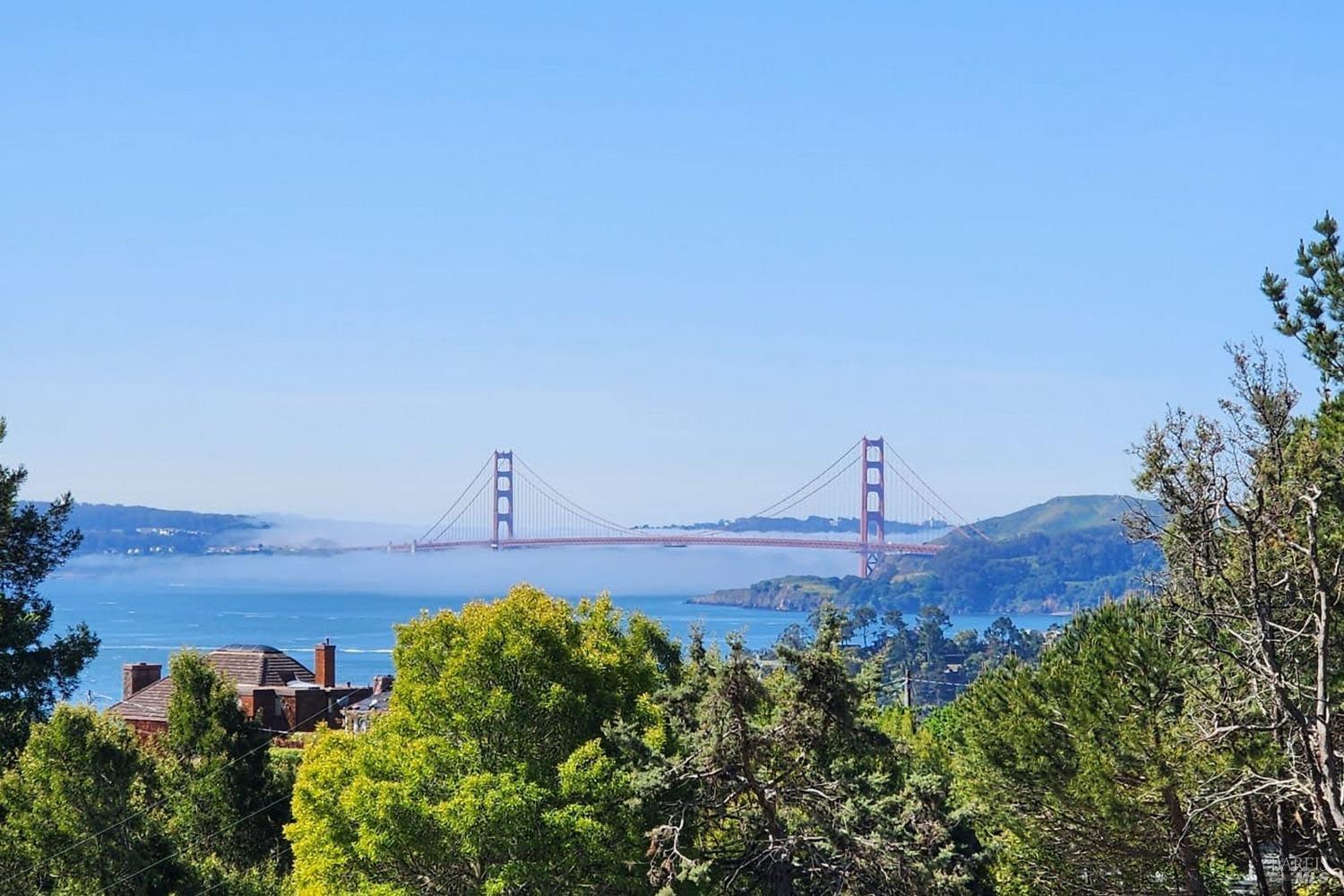 2215 Vistazo Street E

                                                                             Tiburon                                

                                    , CA - $18,880,000