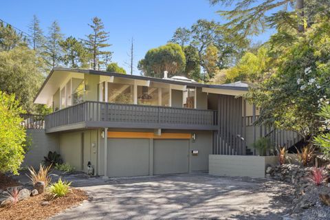 Photo of 876 Las Ovejas Avenue, San Rafael, CA 94903 (MLS # 326006357)