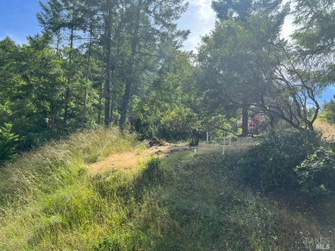 MLS: 323040012