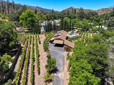 Photo of 455 Glass Mountain Road, Saint Helena, CA 94574 (MLS # 325028859)