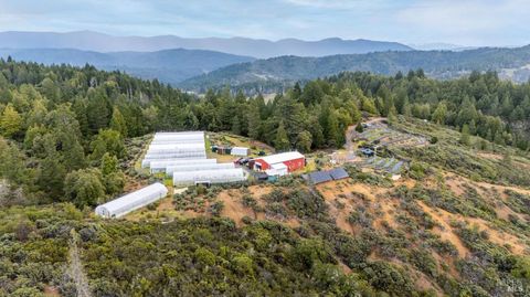 Photo of 19450 Tomki Road, Redwood Valley, CA 95470 (MLS # 326019377)