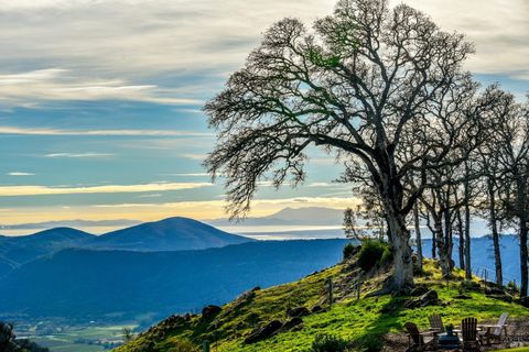 Photo of 100 Longhorn Ridge Road, Napa, CA 94558 (MLS # 325007326)