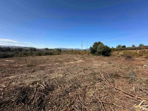 MLS: 324063739