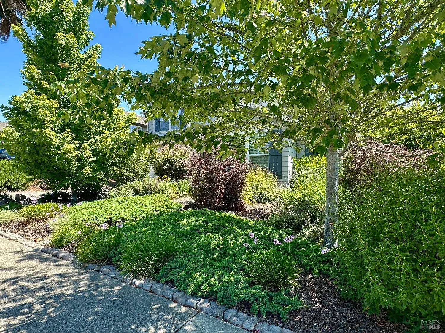 Cloverdale, California 95425, United States, 4 Bedrooms Bedrooms, ,3 BathroomsBathrooms,Residential,Active,141573