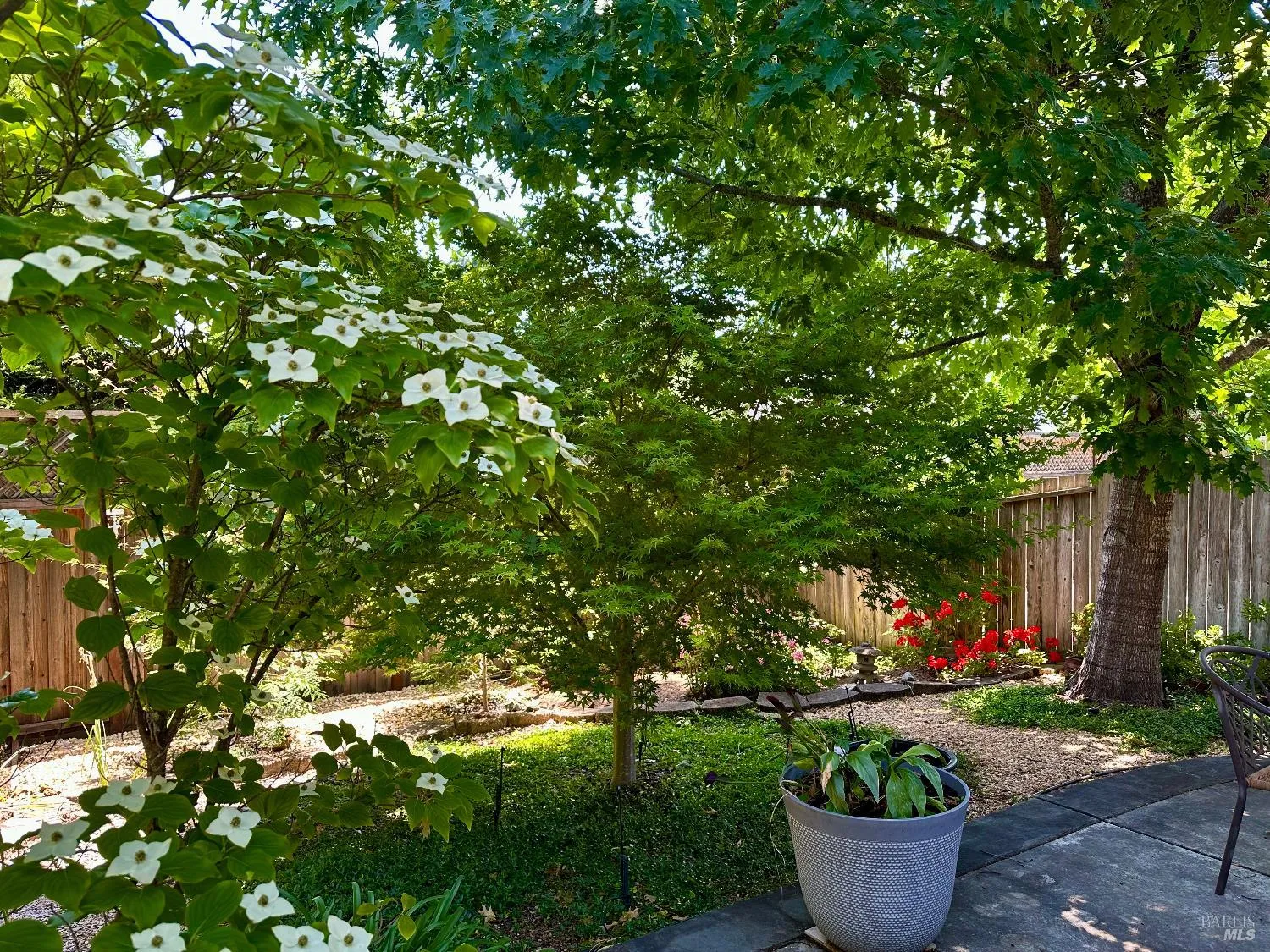 Cloverdale, California 95425, United States, 4 Bedrooms Bedrooms, ,3 BathroomsBathrooms,Residential,Active,141573