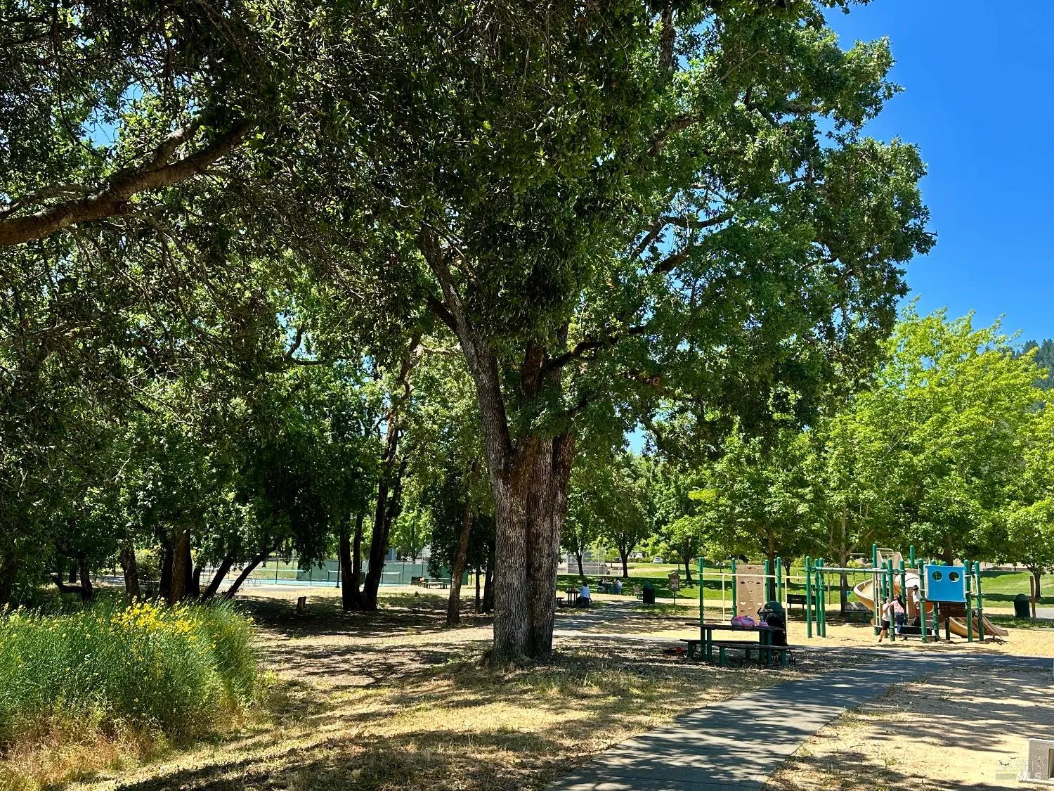 Cloverdale, California 95425, United States, 4 Bedrooms Bedrooms, ,3 BathroomsBathrooms,Residential,Active,141573