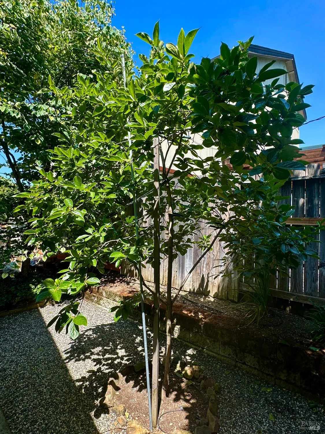 Cloverdale, California 95425, United States, 4 Bedrooms Bedrooms, ,3 BathroomsBathrooms,Residential,Active,141573