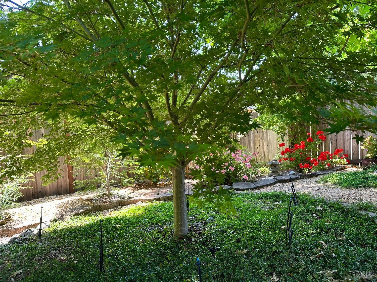 Cloverdale, California 95425, United States, 4 Bedrooms Bedrooms, ,3 BathroomsBathrooms,Residential,Active,141573