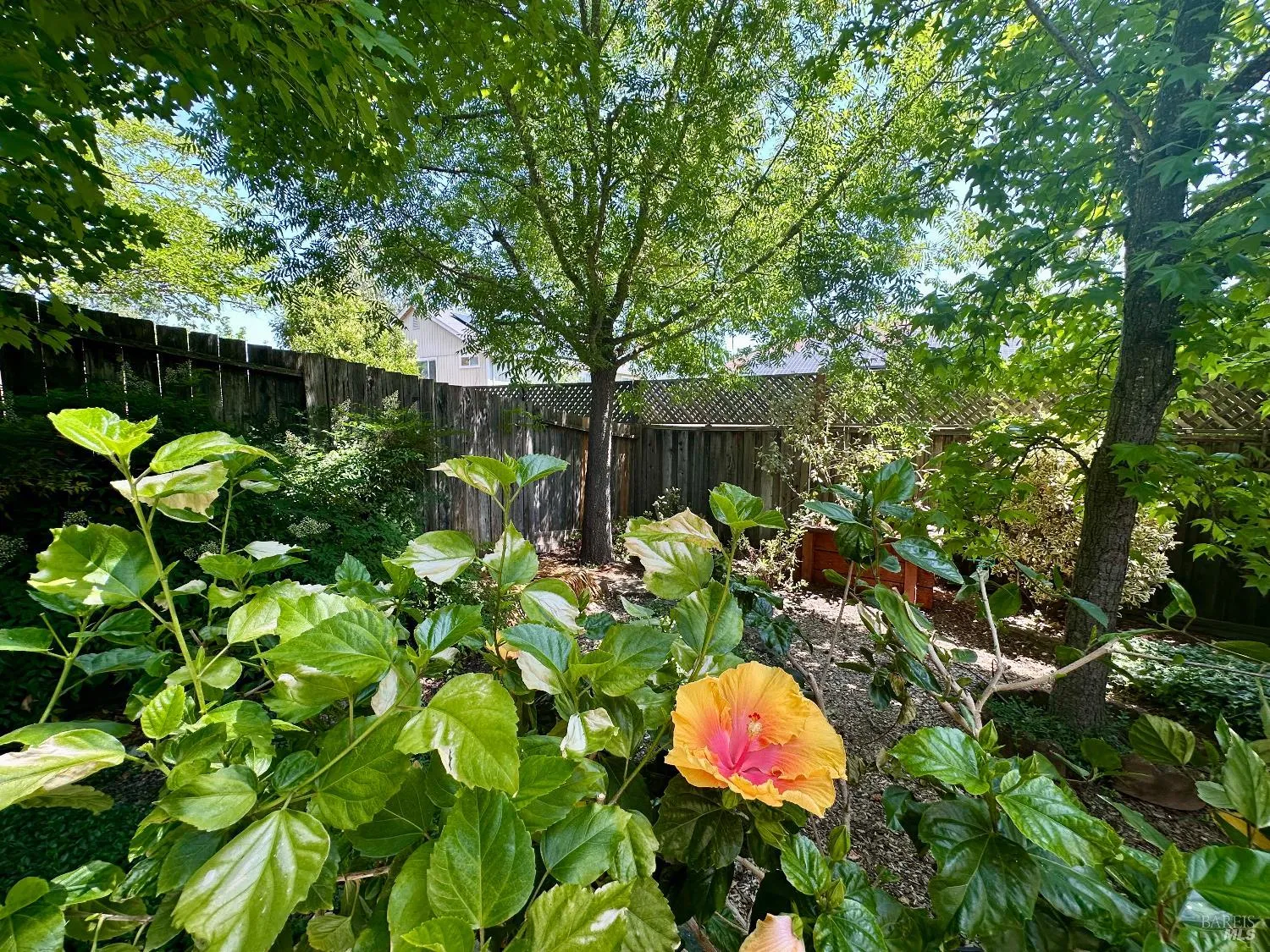 Cloverdale, California 95425, United States, 4 Bedrooms Bedrooms, ,3 BathroomsBathrooms,Residential,Active,141573