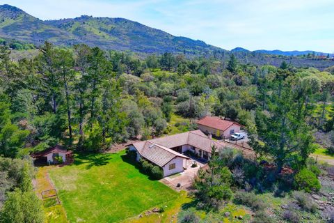 Photo of 3497 Soda Canyon Road, Napa, CA 94558 (MLS # 325013929)