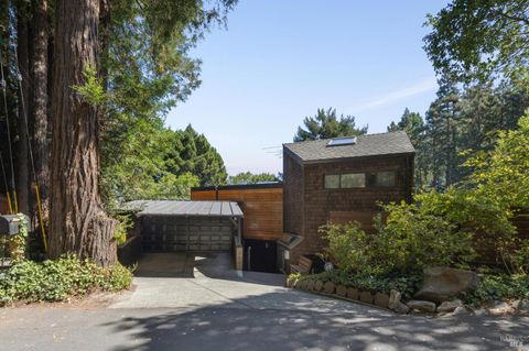 Photo of 363 Marion Avenue, Mill Valley, CA 94941 (MLS # 325085242)