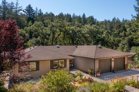 Photo of 14856 Chalk Hill Road, Healdsburg, CA 95448 (MLS # 326012604)
