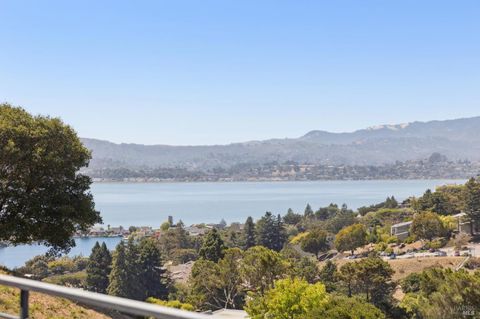 Photo of 6 Red Hill Circle, Tiburon, CA 94920 (MLS # 325078235)