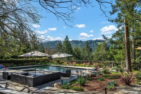 Photo of 511 Kortum Canyon Road, Calistoga, CA 94515 (MLS # 325020926)