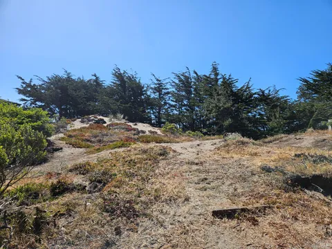 MLS: 325040294