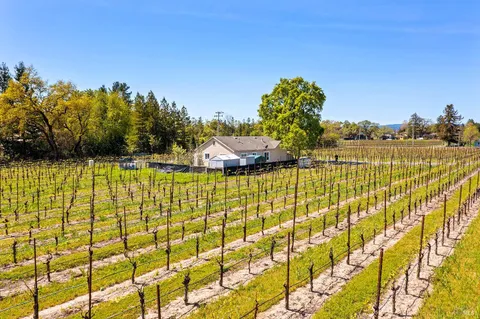 1525 Olivet Road, Santa Rosa, CA 95401 - MLS#: 325031311