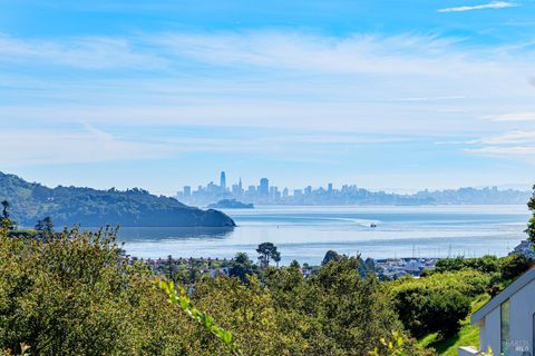 Photo of 80 Lyford Drive #1, Tiburon, CA 94920 (MLS # 326016079)