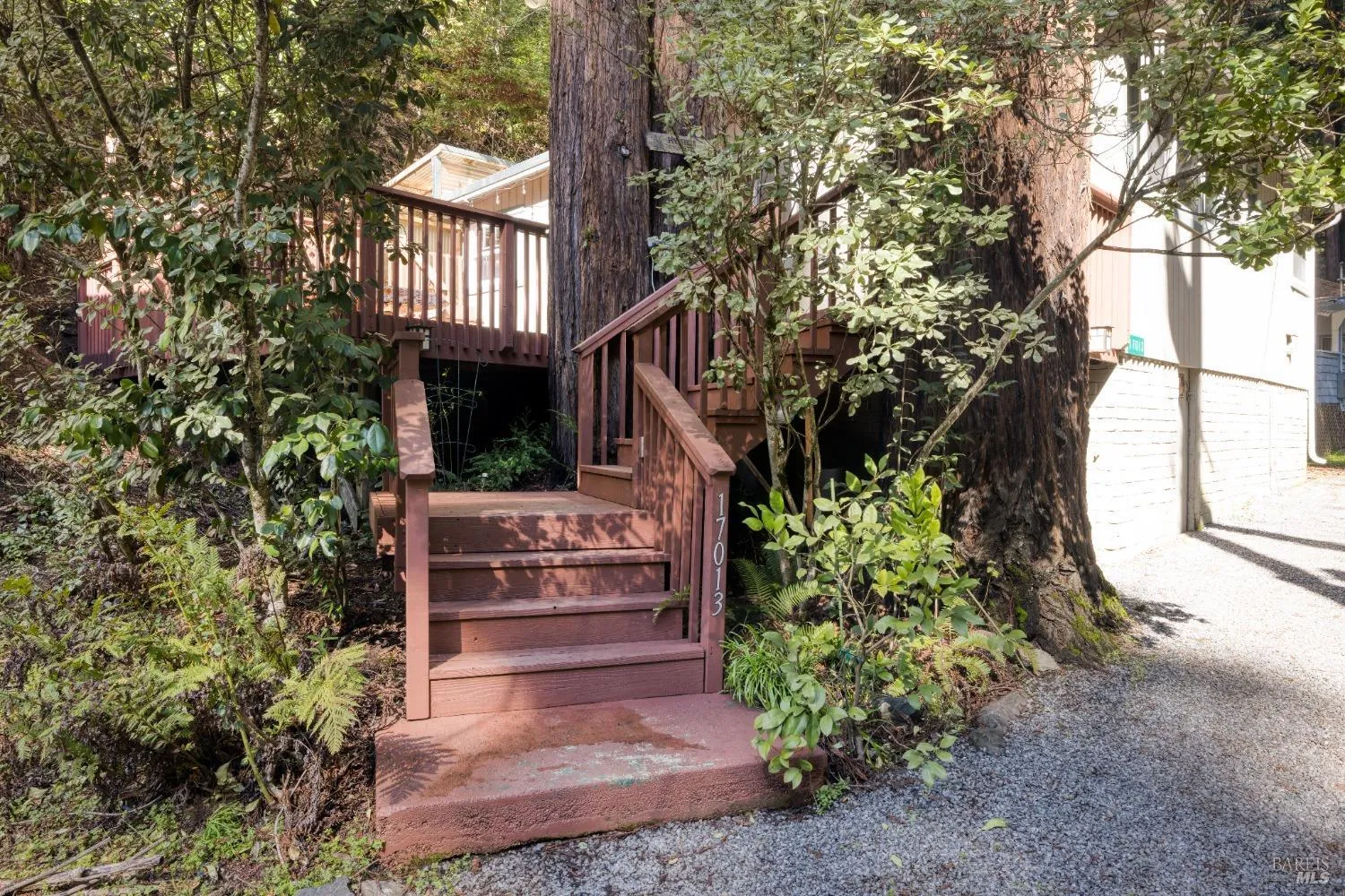 Guerneville, California 95446, United States, 1 Bedroom Bedrooms, ,1 BathroomBathrooms,Residential,Contingent,81780