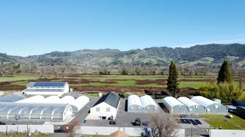 MLS: 325010599
